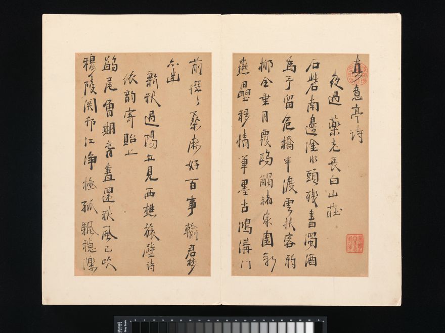 Poems from the Pavilion of True Meaning