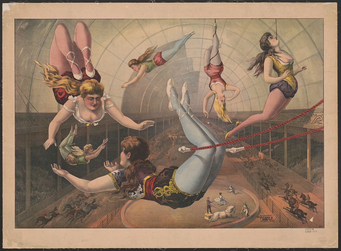 [Female acrobats on trapezes at circus]