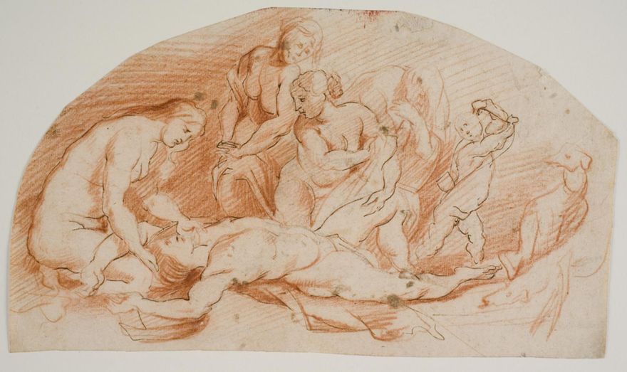 Venus Lamenting over the Dead Adonis