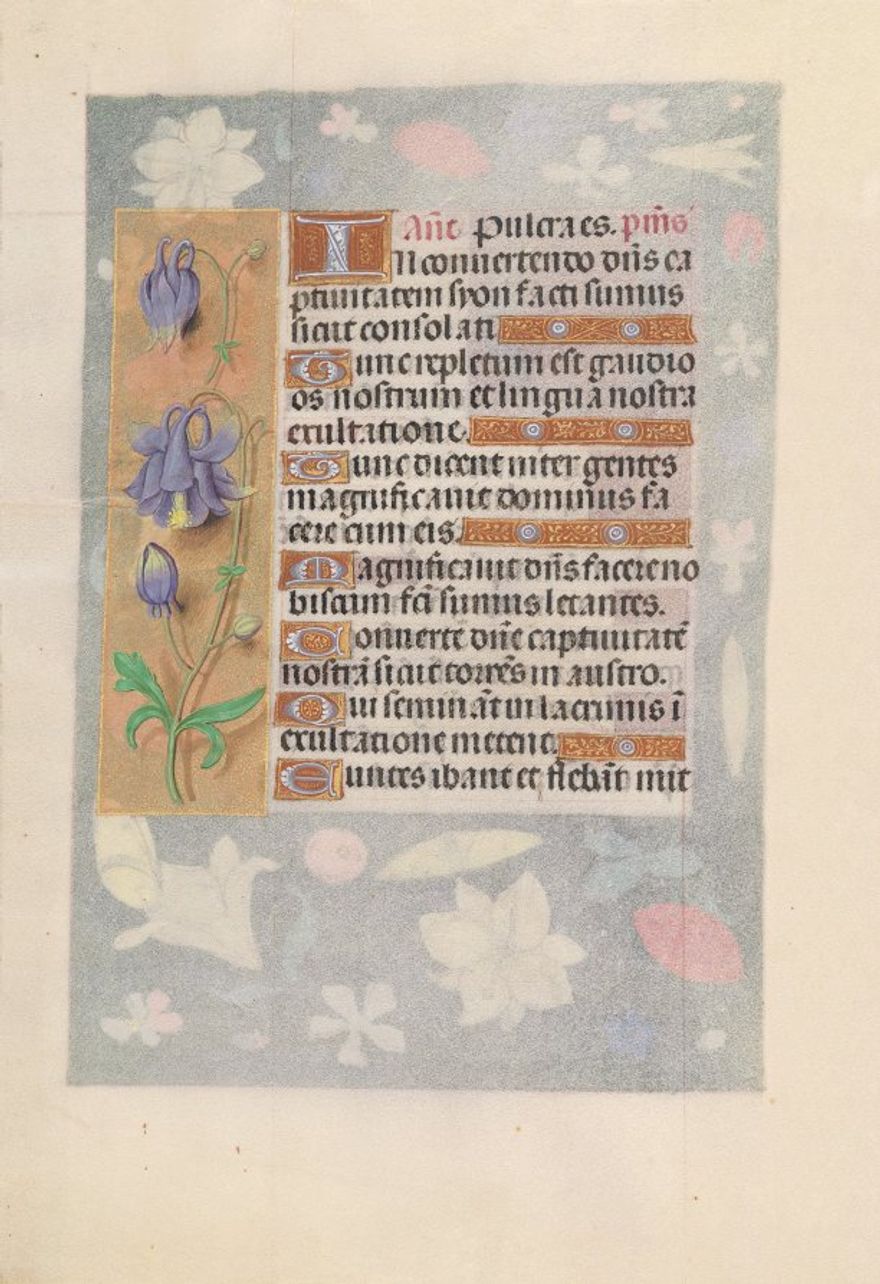 Hours of Queen Isabella the Catholic, Queen of Spain:  Fol. 142v