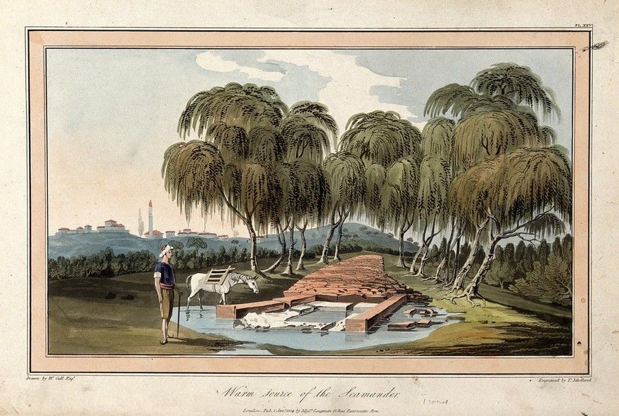 Warm source of the Scamander. Coloured etching by T. Medland, 1804, after W....