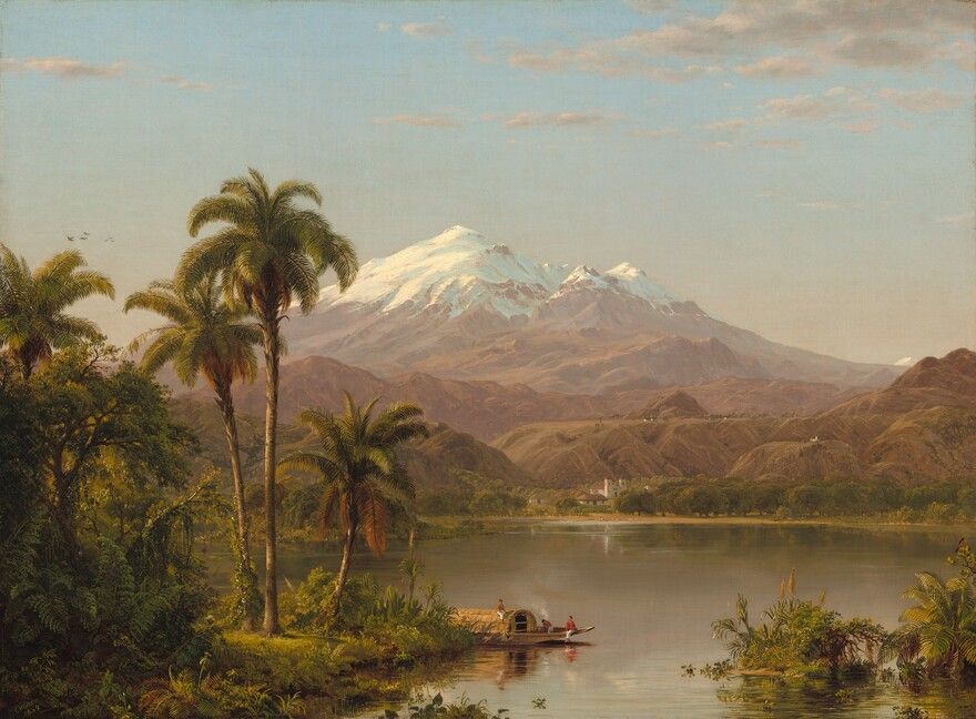 Tamaca Palms