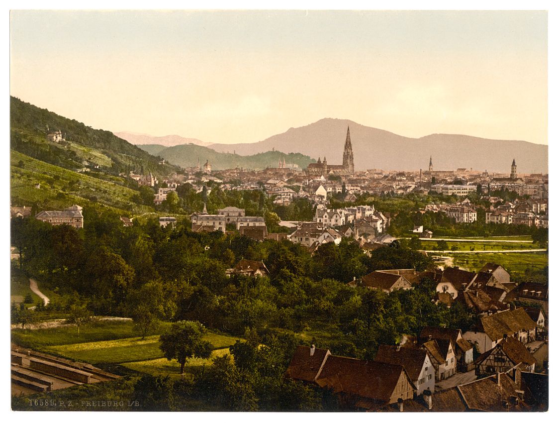 [From Rebgut Sonnenberg, Freiburg, Baden, Germany]