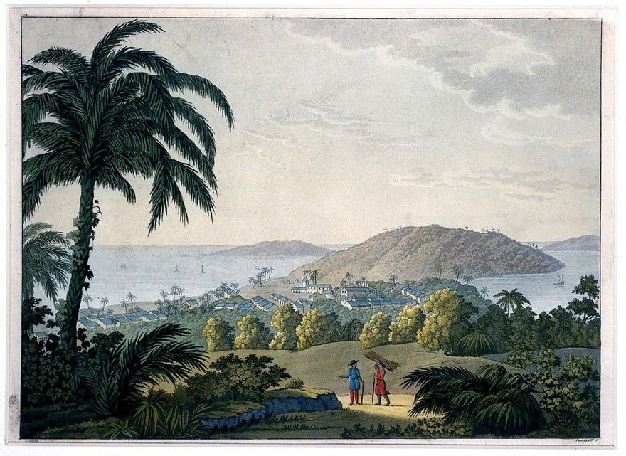 Ilhéus, Bahia, Brazil. Coloured aquatint by P. Fumagalli, ca. 1821, after J....